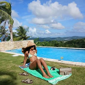  Apartment Swim & Paint Art Retreat
